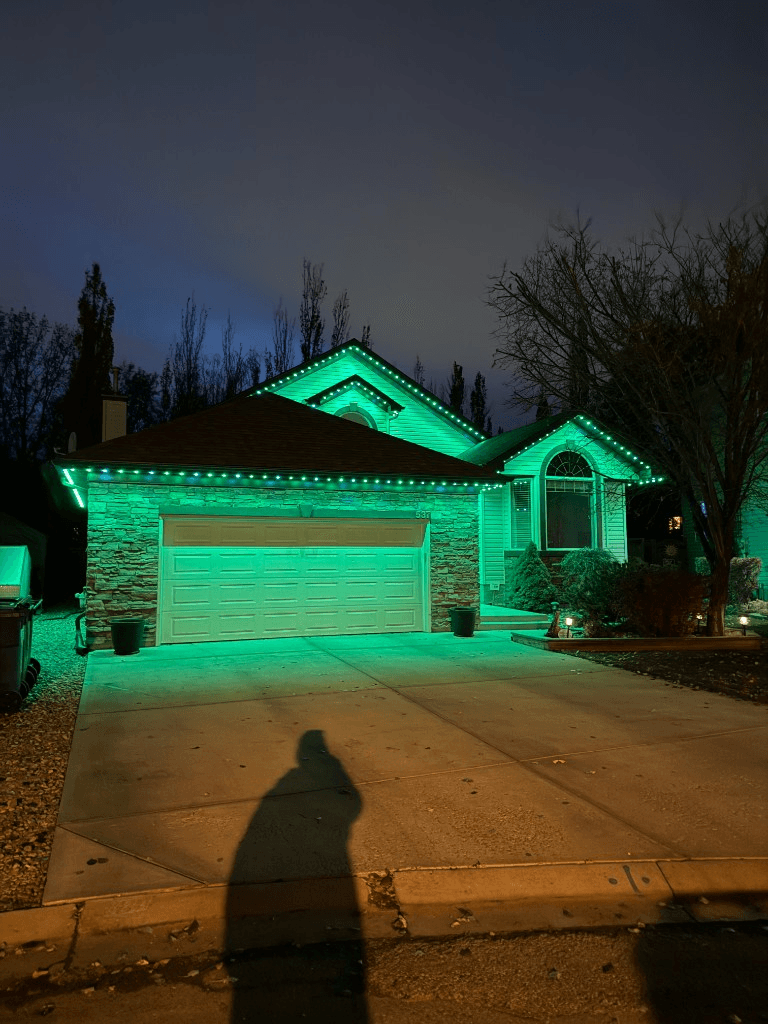 Permanent LED lighting installation by Number One Lights